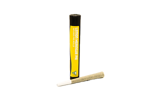 Lemon Meringue Pie Infused Pre-Roll | 1.2g by Distro 10