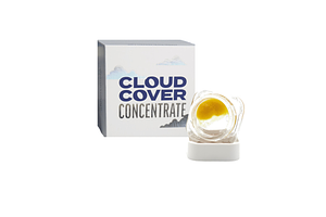 Donkey Punch Badder | 1g by Cloud Cover