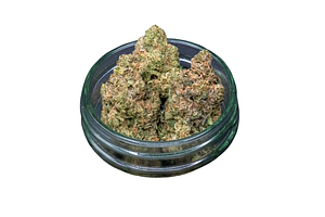 Apple Tart Bulk Flower by Ubaked
