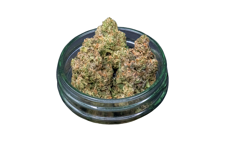 Apple Tart Bulk Flower by Ubaked