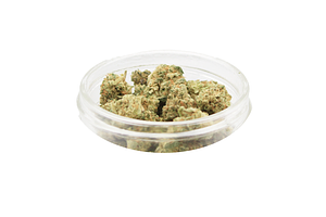 Melonade Bulk Flower by Ubaked