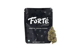Forte | E-85 Prepackaged Flower | 3.5g by Forte Cannabis