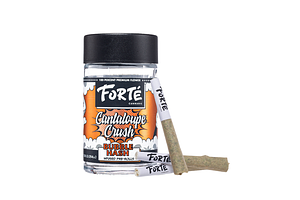 Cantaloupe Crush Bubble Hash Infused Pre-Roll Pack | 3x0.5g | 1.5g by Forte Cannabis