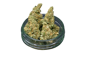 Pineapple Fields Bulk Flower by Common Citizen