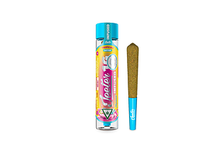 Tropicali Infused Pre-Roll | 1g by Jeeter