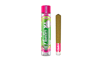Prickly Pear Infused Pre-Roll XL | 2g by Jeeter