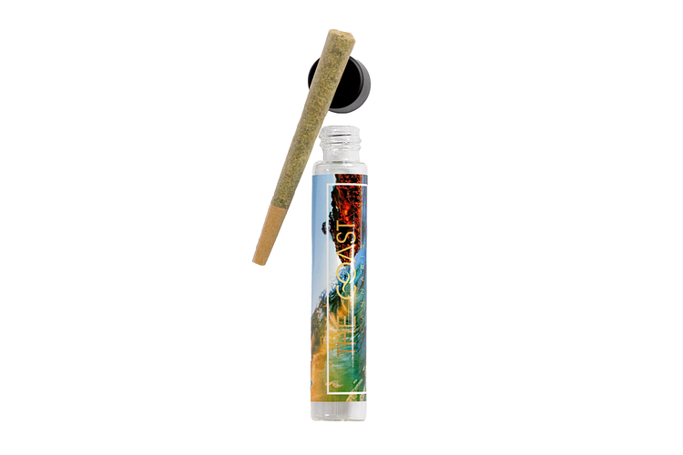 Pecan Pie Pre-Roll | 1g by The Coast Cannabis