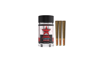 Glorious | The Big Apple Icewater Hash Infused Peroll Pack | 3x0.5g | 1.5g by Glorious Cannabis Co.