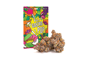 KAI | Gastro Pop Prepackaged Flower | 3.5g by Kai Cannabis