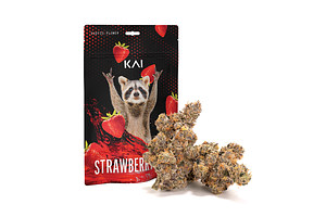 KAI | Strawberry Gary Prepackaged Flower | 3.5g by Kai Cannabis