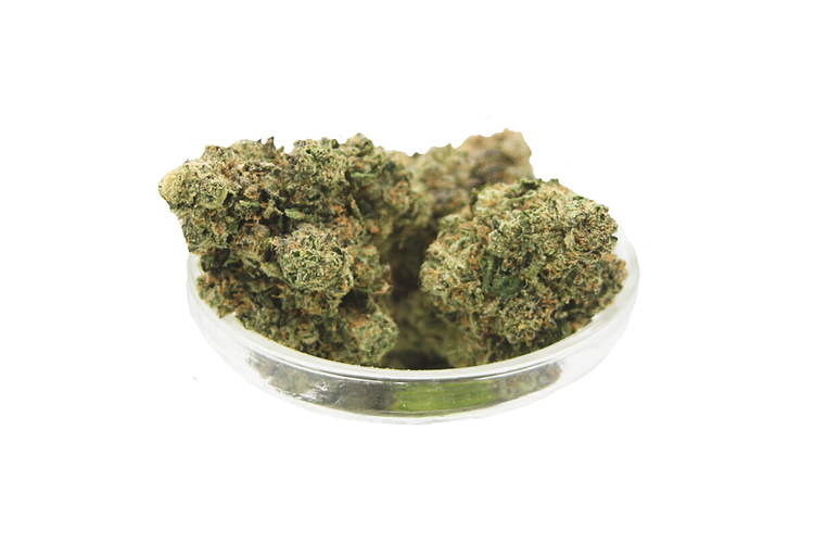 Runtz Bulk Flower by 123 Grow