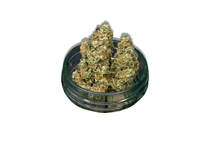 Kush Mints Bulk Flower by Society C