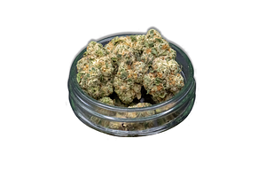 Corkscrew Bulk Flower by Common Citizen