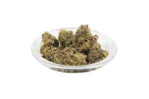 Sherb Cream Pie Bulk Flower by Lega Sea