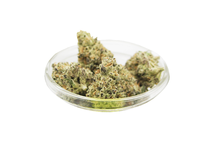 Dante's Inferno Bulk Flower by Lega Sea