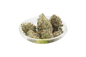 Oreoz Bulk Flower by Lega Sea