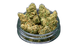 Donny Burger Bulk Flower by Common Citizen