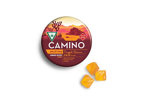 Pineapple Habanero Gummies | 10x20mg | 200mg by Camino