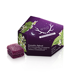 Boysenberry Gummies | 2:1:1 THC:CBD:CBN | 200mg by Wyld