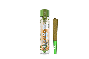 Cannalope Infused Pre-Roll | 1g by Jeeter