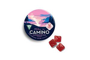 Wild Berry Gummies | 10x20mg | 200mg by Camino