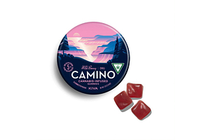 Wild Berry Gummies | 20x5mg | 100mg by Camino