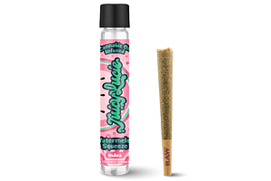 Watermelon Squeeze Infused Pre-Roll | 1.2g by Juicy Lucie