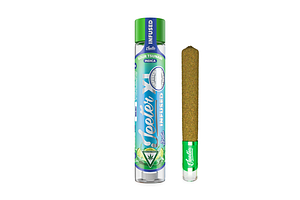 Sour Tsunami Infused Pre-Roll XL | 2g by Jeeter