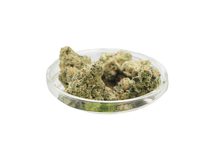 Alien Cookies X Kush Mints #11 Grade A Bulk Flower by Butter