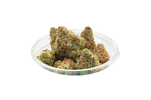 Jelly Pop Bulk Flower by Uplyfted Cannabis Co.