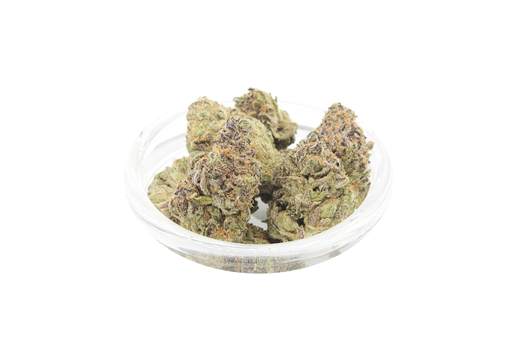 Blueberry Muffin Bulk Flower by Turf