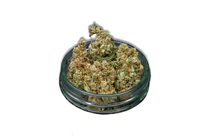 Snow Temple Bulk Flower by Common Citizen