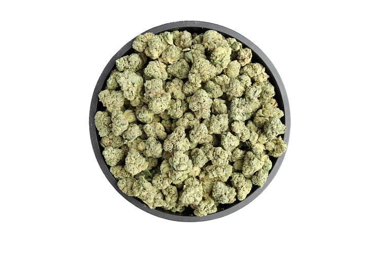 Triangle Larry Bulk Flower (Smalls) by Common Citizen