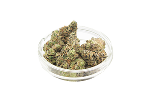 Grape Gas Bulk Flower by Uplyfted Cannabis Co.