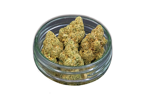 Figueroa OG Bulk Flower by Common Citizen