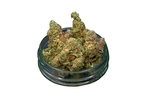 Banana Banshee Bulk Flower by Common Citizen