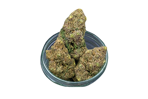 Detroit Purps Bulk Flower by Common Citizen