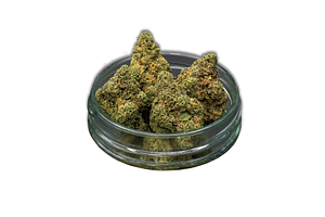 Motor Cake Bulk Flower by Common Citizen
