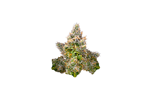 Tagalongz Bulk Flower by DogHouse