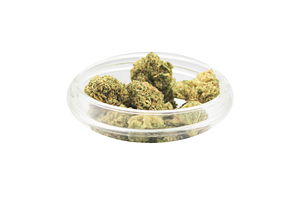 Jungle Canyon Grade A Bulk by Primitiv