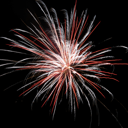 4th of July week featured image