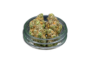 The Don Mega Bulk Flower by Common Citizen