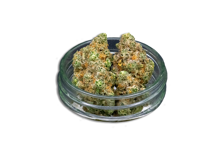 The Don Mega Bulk Flower by Common Citizen