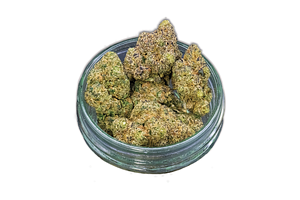 Gerry Peyton Bulk Flower by Common Citizen