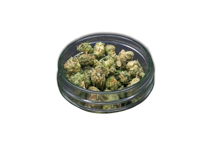 Puffo Gelato Bulk Flower (Smalls) by Common Citizen