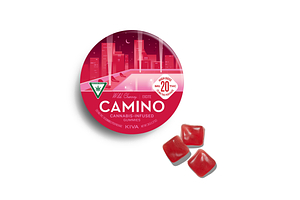 Wild Cherry Gummies | 10x20mg | 200mg by Camino