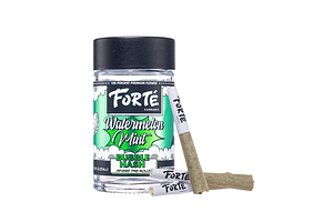 Forte | Watermelon Mint Bubble Hash Infused Pre-Roll Pack | 3x0.5g | 1.5g by Forte Cannabis