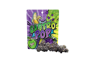 Hytek | Gastro Pop Prepackaged Flower | 3.5g by Hytek