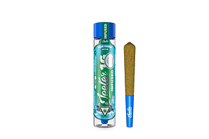 Blue Dream Infused Pre-Roll | 1g by Jeeter