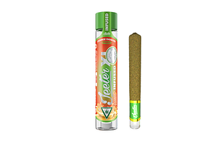 Jeeter | Orange Daiquiri Infused Pre-Roll XL | 2g by Jeeter